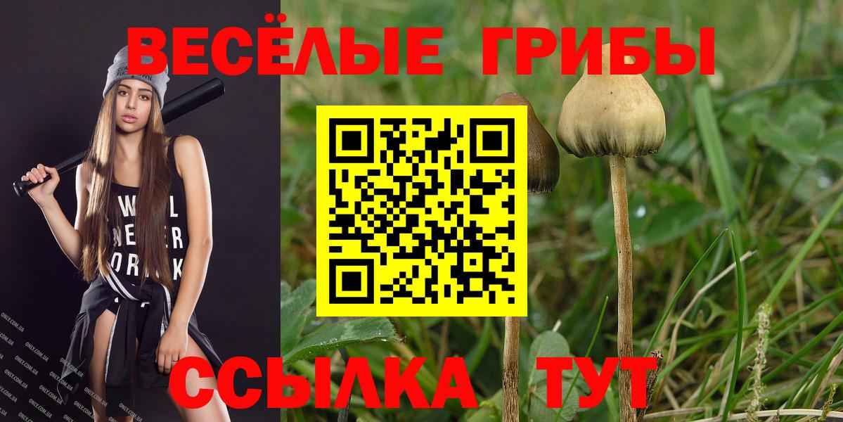 Галлюциногенные грибы прущие грибы Партизанск